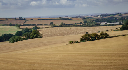 Stubble harvest field landscape