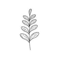 Botanical plant branch silhouette, Vector icon, hand drawn, design element.
