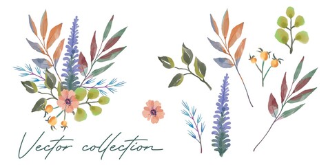 Floral branches set. Wedding concept with flowers. Floral poster, invite. Vector design schemes for greeting cards or invitations