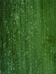 beautiful background in the form of tree bark