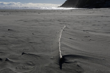 A long branch has captured some wind blown sand, the sand has formed an edge against it.