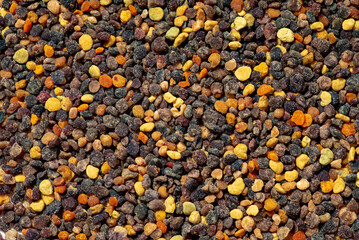 Pile of bee pollen on white, closeup