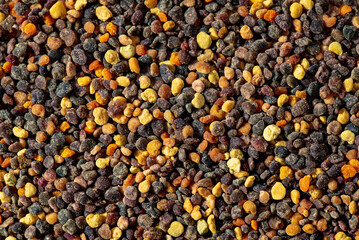 Pile of bee pollen on white, closeup