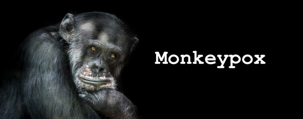 Monkeypox virus. The new pandemic is called monkeypox.