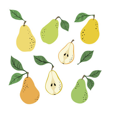 Set of yellow and green pears and pear slices. Hand drawn pears pattern on white background. for fabric, drawing labels, print, wallpaper of children's room, fruit background