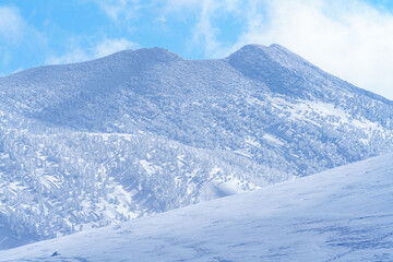 冬の八甲田山　日本三大樹氷のスノーモンスター　青森観光
