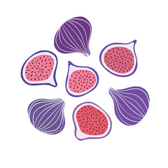 Tropical set with violet figs and fig slices. Hand drawn fruits fig isolated on white background. for fabric, drawing labels, print, wallpaper of children's room, fruit background
