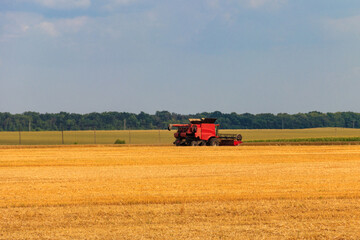 Combine harvester working on a wheat field. Harvesting the wheat. Agriculture concept