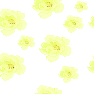 flowers floral pattern patterns peone vector roses