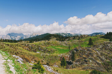 Velika Planina or Big Pasture Plateau in the Kamnik Alps, Slovenia. Mountain cottage hut or house on green hill. Alpine meadow landscape. Eco farming