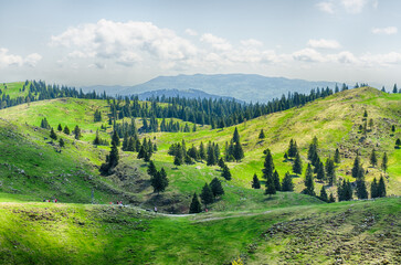 Velika Planina or Big Pasture Plateau in the Kamnik Alps, Slovenia. Mountain cottage hut or house on green hill. Alpine meadow landscape. Eco farming