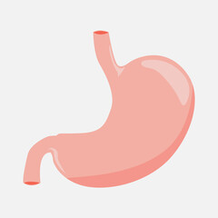 Obraz premium Stomach icon on a white background. The stomach is isolated in pink and yellow tones. The viscera of a man. Vector eps illustration.
