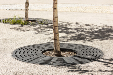 Drainage grate for tree. Rainwater Drainage System on paving stone around tree trunk. Tree trunk bed decoration. - obrazy, fototapety, plakaty