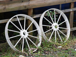 Obraz premium rueda