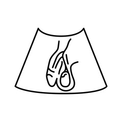 Ultrasound male reproductive system color line illustration