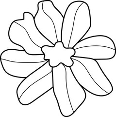 collection forest fern eucalyptus art foliage natural
leaves herbs inline style. Decorative beauty, elegant illustration 
for design: Vector flower Botanical