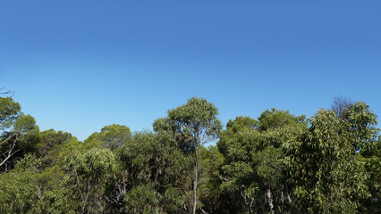 Obraz premium Paesaggio