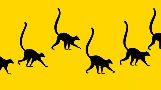 Walking lemurs, animation on the yellow background (seamless loop)