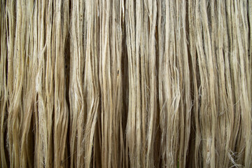 Closeup shot of raw jute fiber hanging under the sunlight for drying. Brown jute fiber texture and  background