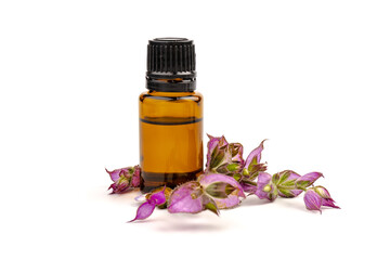 A bottle of essential oil with fresh blooming clary sage twigs on white background.