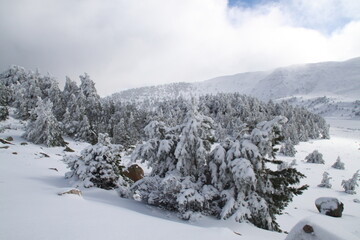 Lagunas de Neila 