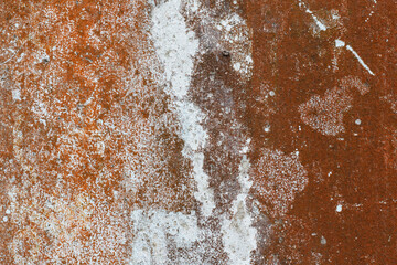 Old wall backdrop grunge background texture light rough textured spotted blank copy space background