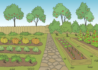 Vegetable garden graphic color landscape sketch illustration vector - obrazy, fototapety, plakaty