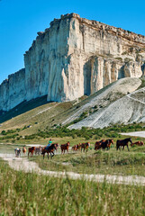 herd of horses in the mountains