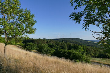 Obraz premium Windpark im Wald