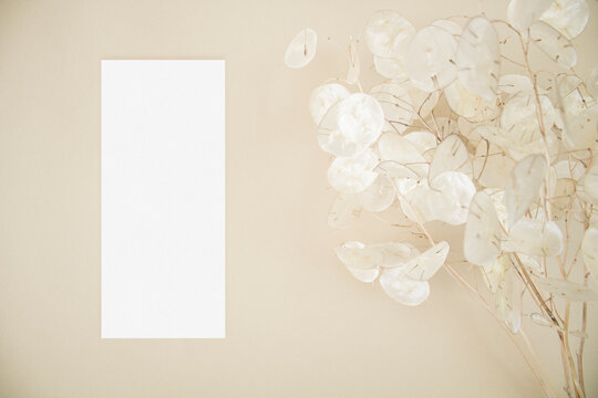 Mockup menu card with lunaria leaves on beige background
