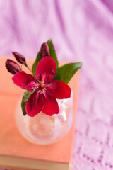 old book with red small flowers on a lilac openwork background close-up	