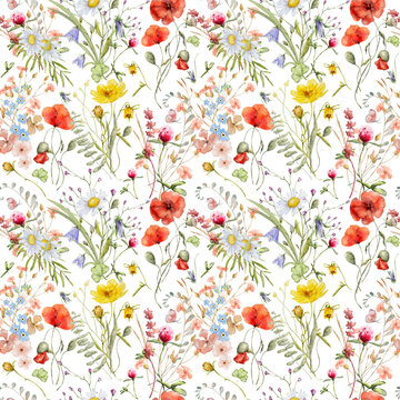 Wild flowers watercolor seamless pattern botanical hand drawn illustration