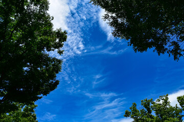 夏の透き通るような真っ青な空と雲