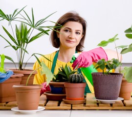 Female gardener with plants indoors