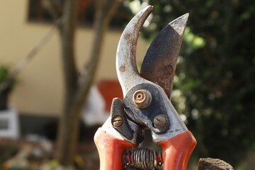 close up of a shears
