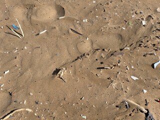 close-up of plastic garbage and plastic pollution in the sand in the middle of the beach
