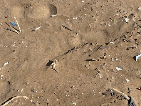 close-up of plastic garbage and plastic pollution in the sand in the middle of the beach