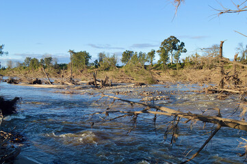 Trees damaged and uprooted by the Australian floods at Yarramundi in Sydney's west