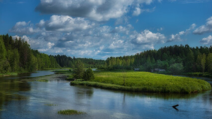 rivers and forests in the arkhangelsk region in summer, under a blue sky with olak