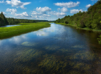 rivers and forests in the arkhangelsk region in summer, under a blue sky with olak, clear water with algae