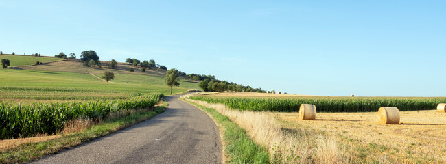 french countryside with straw bales under blue sky in north vosges park regional du vosges du nord