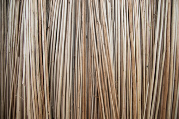Rows and Rows of brown Jute Sticks Texture background of a field