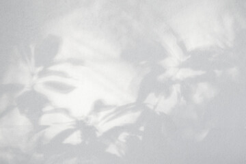 Leaf shadow and light on wall background. Nature tropical leaves tree branch plant shade sunlight on white wall for wallpaper, shadow overlay effect foliage mockup, graphic layout, wallpaper
