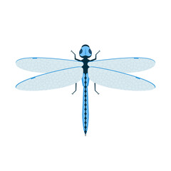 Dragonfly Design Very Cool