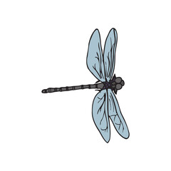 Dragonfly Design Very Cool