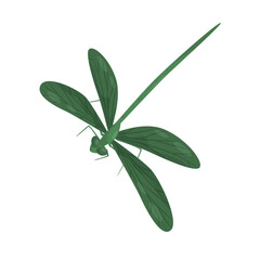 Dragonfly Design Very Cool