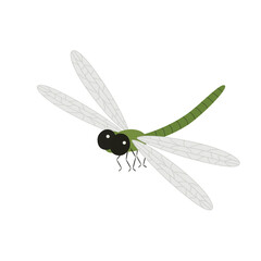 Dragonfly Design Very Cool