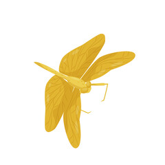 Dragonfly Design Very Cool