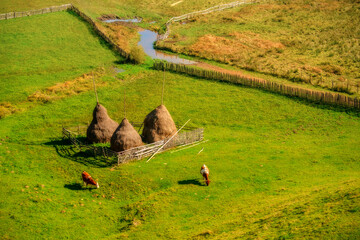 landscape in the countryside