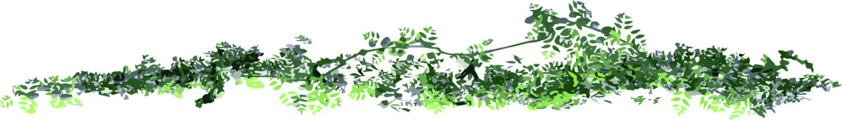 Top view of Plant (creeper 4) Tree illustration vector	
